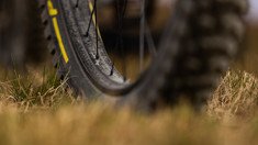 Forum: Carbon Rims on an Enduro Bike - General Consensus?