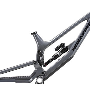 Nukeproof Dissent Carbon 290/297