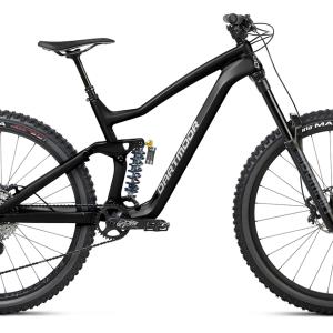 2022 Dartmoor Thunderbird CF Evo